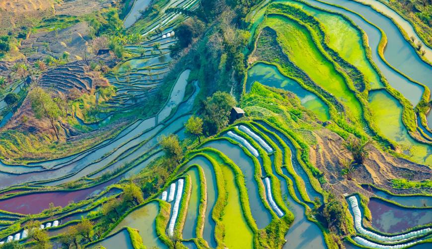 宝妈必备神器：大冶市产品视频拍摄轻松育儿好帮手