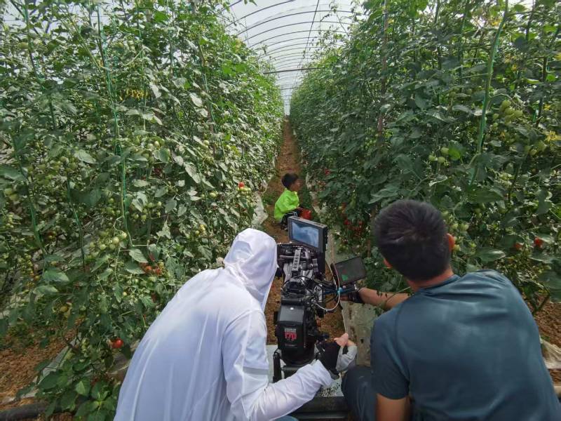 大冶市产品宣传视频拍摄公司进阶指南，助力品牌抢占传播高地